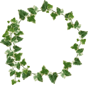 Crown Transparency Yebbi Gongju - Leaf Crown Transparent, HD Png Download PNG with transparent background