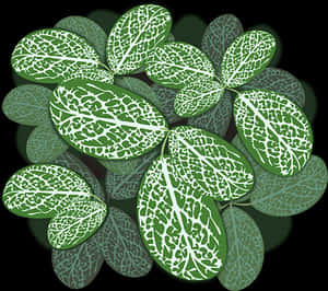 Variegated Leaves Pattern.jpg PNG image with transparent background