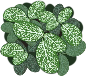 Variegated Leaves Pattern.jpg PNG Image