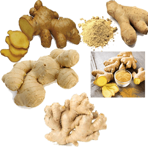 Varietiesof Ginger Rootand Powder PNG with transparent background