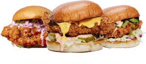 Variety Chicken Sandwiches PNG image with transparent background