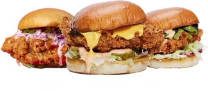 Variety Chicken Sandwiches PNG Image