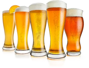 Varietyof Beersin Glasses PNG Image