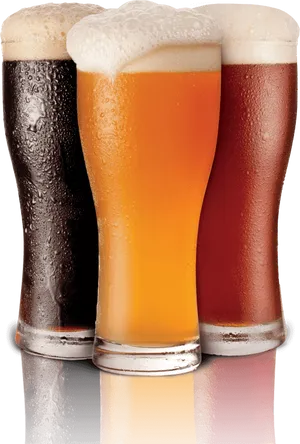 Varietyof Beersin Glasses PNG Image