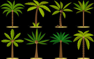 Vector Graphics Palm Trees Clip Art Design Tattoo Art - Trees Design, HD Png Download PNG image with transparent background