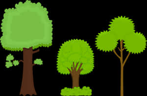 Varietyof Cartoon Trees Illustration PNG image with transparent background
