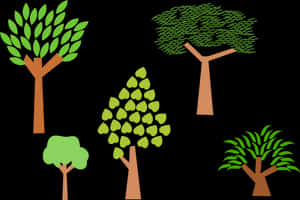 Varietyof Cartoon Trees Vector PNG image with transparent background