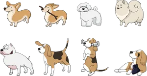 Varietyof Dog Breeds Illustration PNG Image