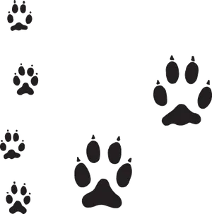 Varietyof Dog Paw Prints PNG Image