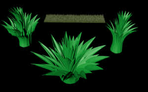 Varietyof Green Grass Clumps PNG image with transparent background