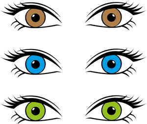 Eye Color Retina Iris, HD Png Download PNG image with transparent background