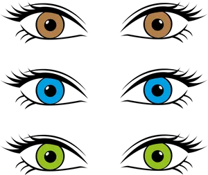 Varietyof Human Eyes Illustration PNG Image