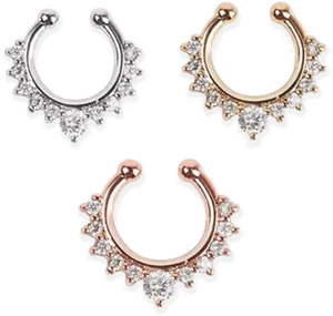 Varietyof Nose Rings Designs PNG Image