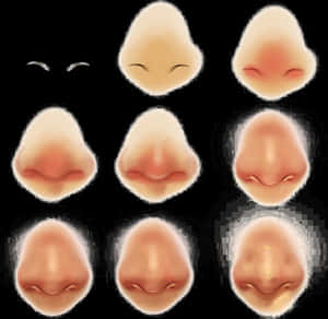Nose Transparent Images - Semi Realistic Nose, HD Png Download PNG image with transparent background