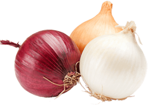 Onions Onions Png - Transparent Picture Of Onions, Png Download PNG image with transparent background