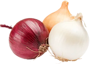 Varietyof Onions PNG Image