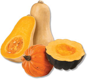 Mushrooms - Butternut Pumpkin, HD Png Download PNG with transparent background