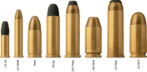 Various Caliber Bullets Comparison PNG Image