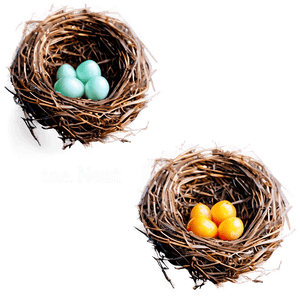 Vector Bird Nest PNG 38 PNG