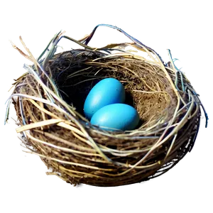 Vector Bird Nest Png 62 PNG Image