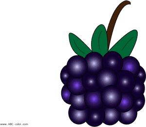 Berry Vector Blackberry - Blackberry Pie, HD Png Download PNG image with transparent background