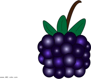 Vector Blackberry Illustration PNG Image