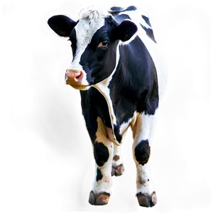 Vector Cow Spots Overlay Png 06282024 PNG Image