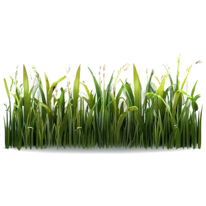 Vector Grass Clipart Png 44 PNG Image