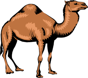 Vector Illustration Of Dromedary Single-humped Beast - Camel Png, Transparent Png PNG image with transparent background