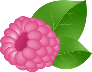 Vector Illustrationof Raspberry PNG Image