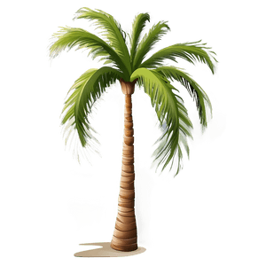 Vector Palm Tree PNG 5 PNG image with transparent background