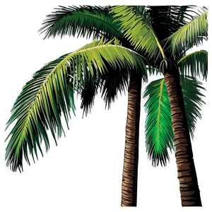 Vector Palm Tree PNG gon49 PNG image with transparent background