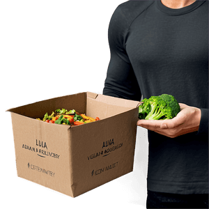 Vegan Meal Delivery PNG vqw21 PNG