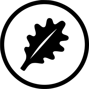 Vegan - Veganism, HD Png Download PNG image with transparent background