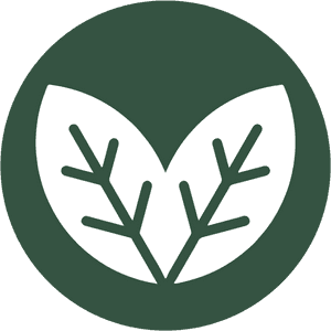 Vegan Vegetarian Symbol Png, Transparent Png PNG image with transparent background