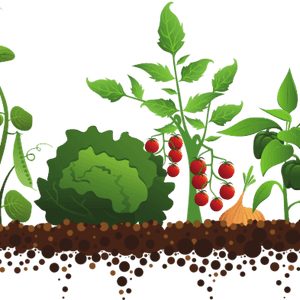 Free Garden Clipart 19 Free Gardening Vector Stock - Community Garden PNG with transparent background