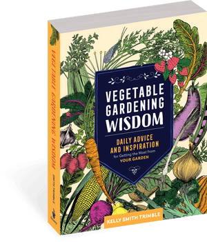 Cover - Vegetable Gardening Wisdom, HD Png Download PNG image with transparent background