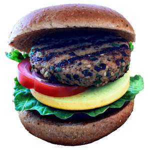 Veggie Burger PNG opv24 PNG image with transparent background