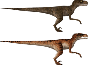 Velociraptor Duo Jurassic Park PNG image with transparent background