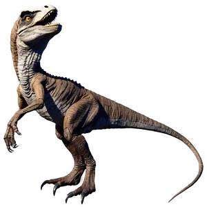 Velociraptor Fossil Replica Png Taq53 PNG Image