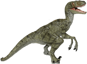 Velociraptor Illustration Jurassic Park PNG image with transparent background