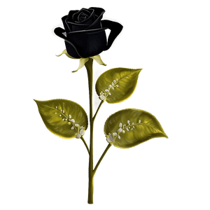 Velvet Black Roses PNG 06212024 PNG