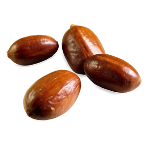 Velvet Tamarind Nut Png Uhu PNG Image