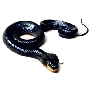 Venomous Black Snake Graphic Png Omg71 PNG Image