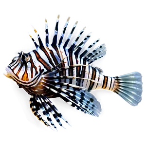 Venomous Lionfish Png Whs39 PNG Image