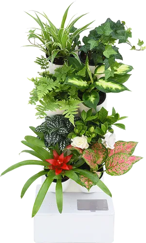 Vertical Garden Display.jpg PNG Image