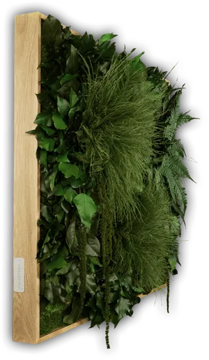 Vertical Garden Wooden Frame PNG Image