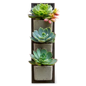 Vertical Succulent Garden Png Nyf79 PNG Image