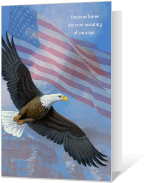 You Honor America - Thank You Veterans Eagle, HD Png Download PNG with transparent background