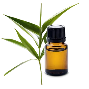 Vetiver Essential Oil Png 06292024 PNG Image